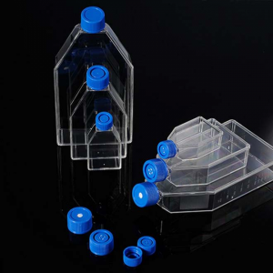 Cell and Tissue Culture Flask